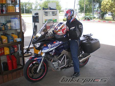 2003 YAMAHA TDM 900 | Picture 1008903 motorcycle photo