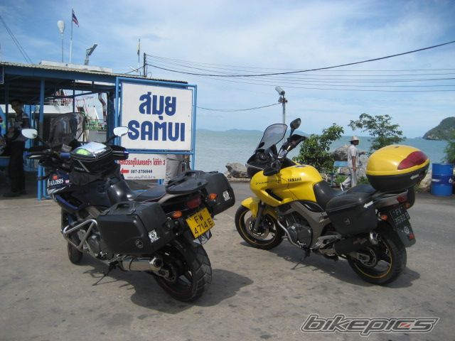 2003 YAMAHA TDM 900 | Picture 1008908 motorcycle photo