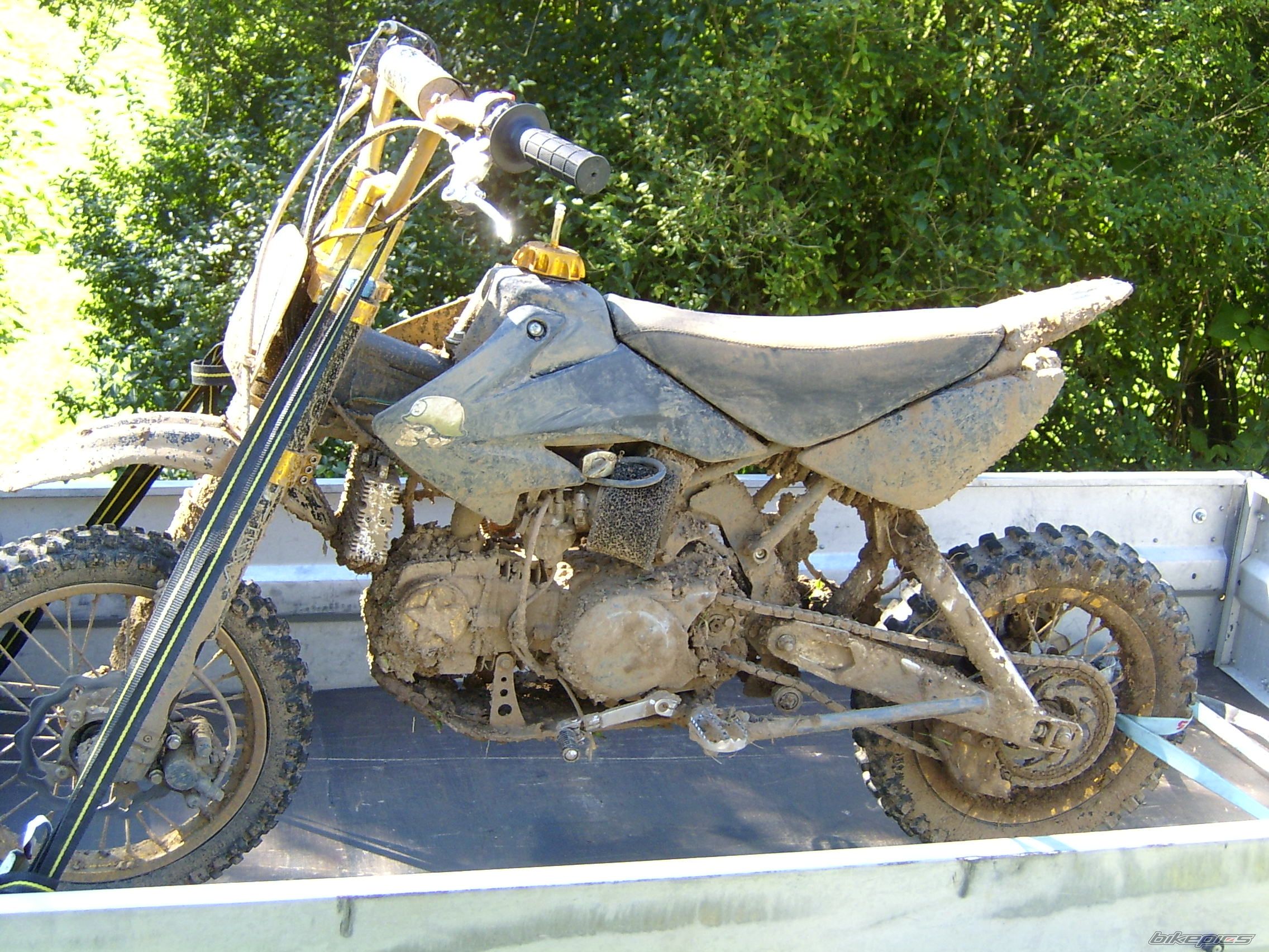 2006 HONDA CRF 50 | Picture 1008925 motorcycle photo