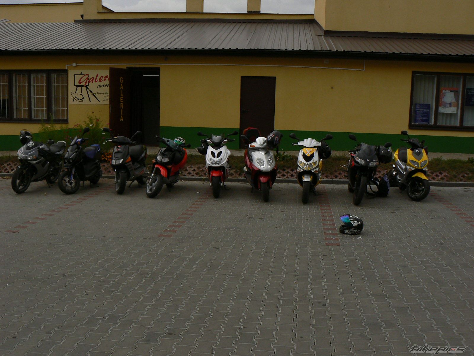 2006 YAMAHA TZR 50 | Picture 1009174 motorcycle photo