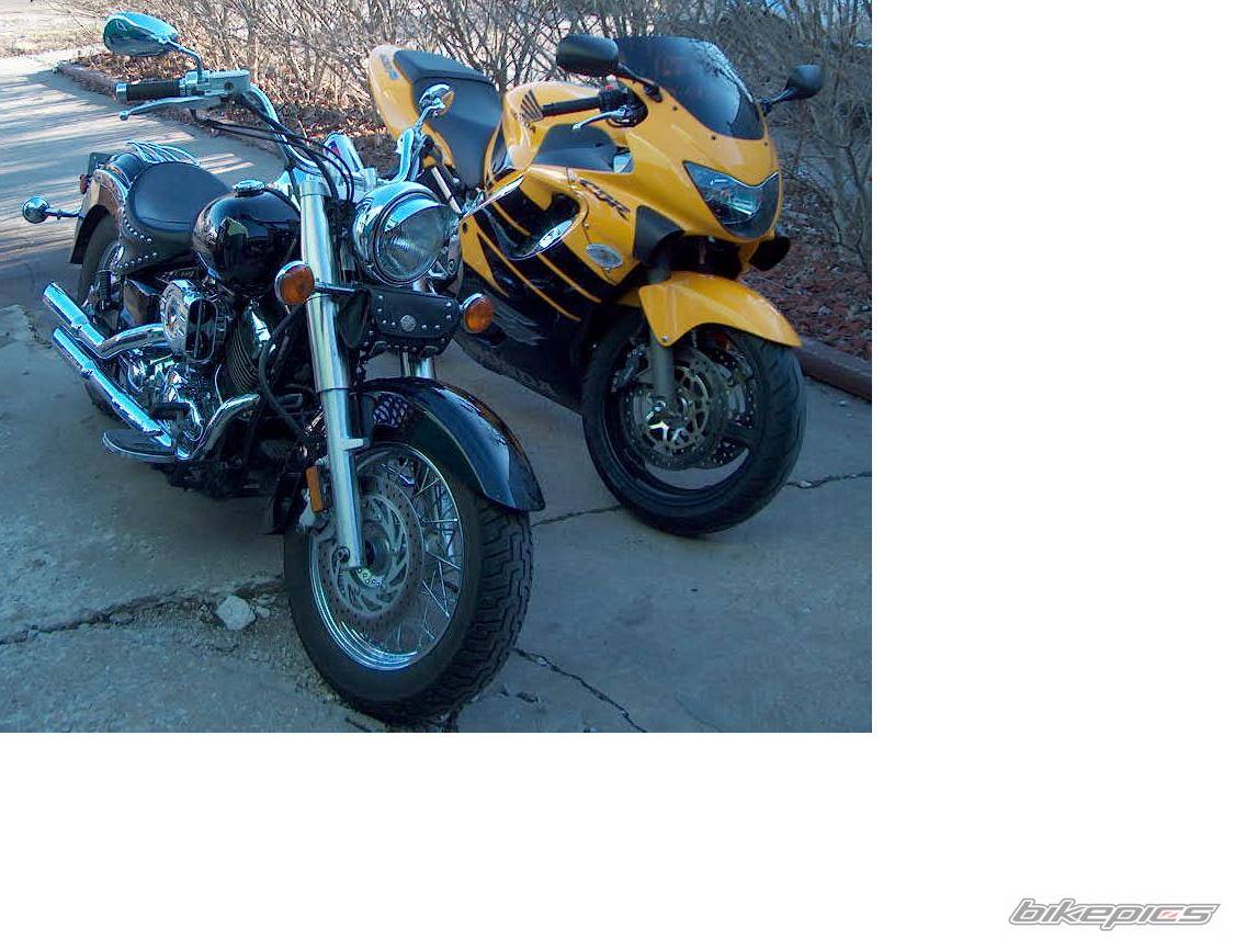 1999 HONDA CBR 600 | Picture 100940 motorcycle photo
