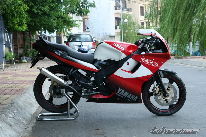 2008 YAMAHA TZM 150 | Picture 1009611 motorcycle photo