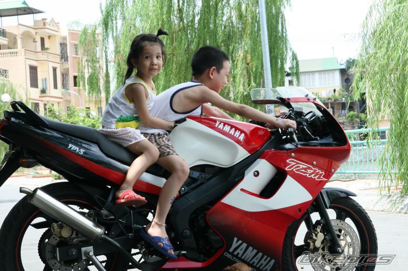 2008 YAMAHA TZM 150 | Picture 1009615 motorcycle photo