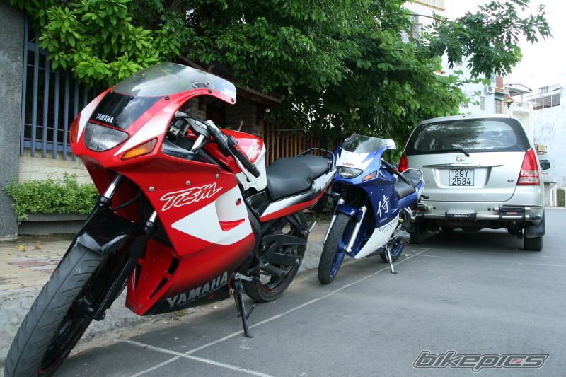 2008 YAMAHA TZM 150 | Picture 1009629 motorcycle photo