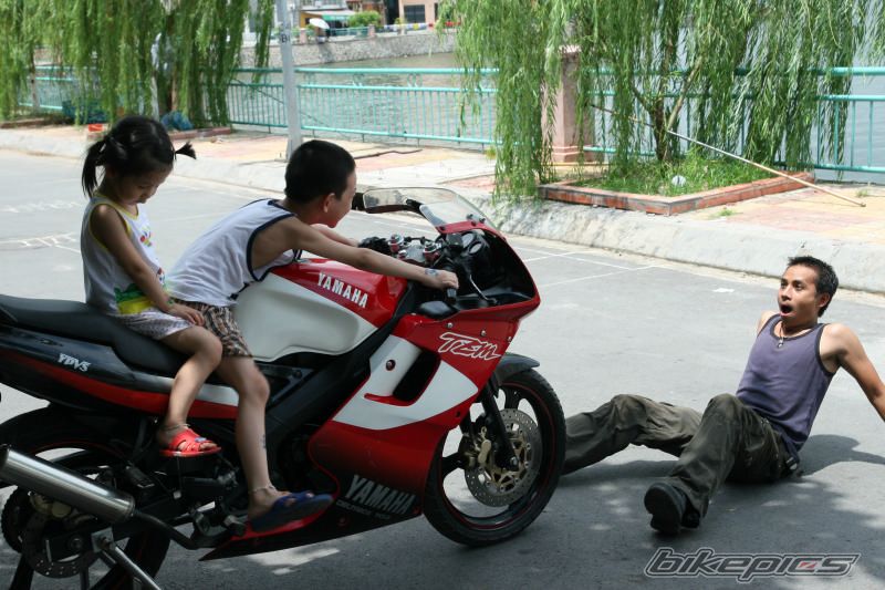 2008 YAMAHA TZM 150 | Picture 1009664 motorcycle photo