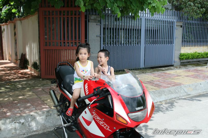 2008 YAMAHA TZM 150 | Picture 1009667 motorcycle photo