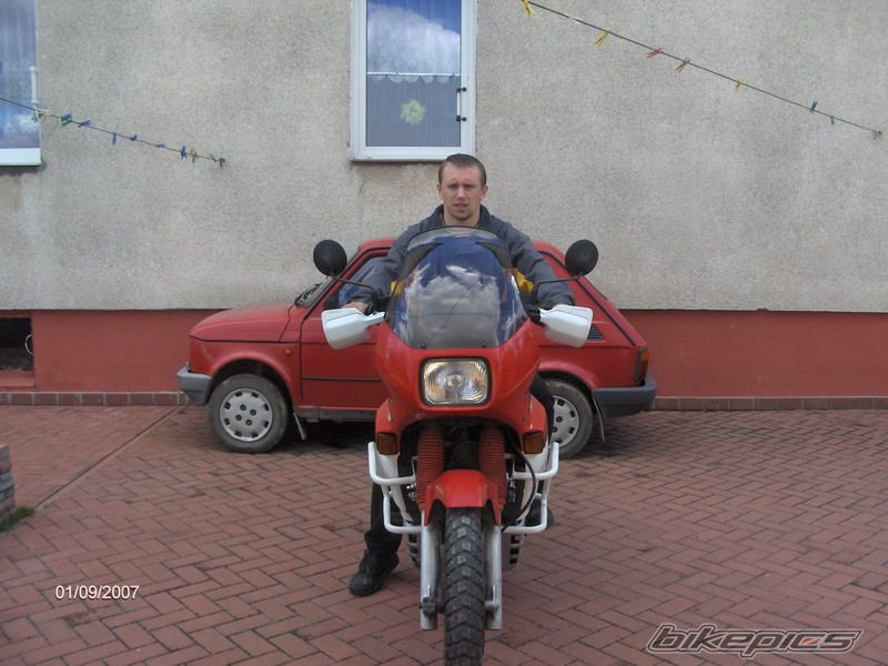 1990 HONDA XL 600V TRANSALP | Picture 1009726 motorcycle photo