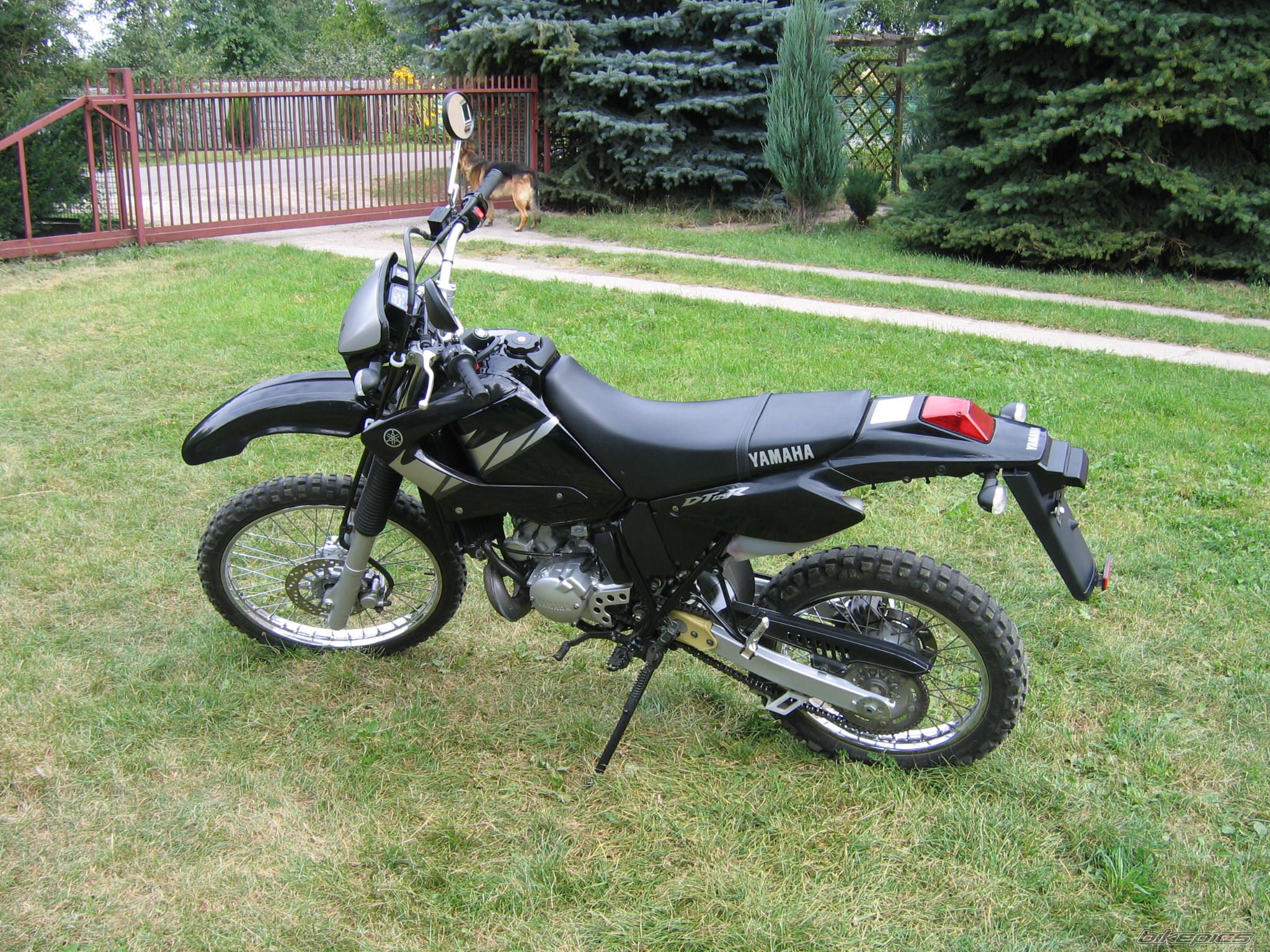 2006 YAMAHA DT 125RE | Picture 1010554 motorcycle photo