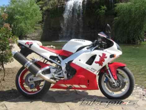 1998 YAMAHA YZF R1 | Picture 1010875 motorcycle photo