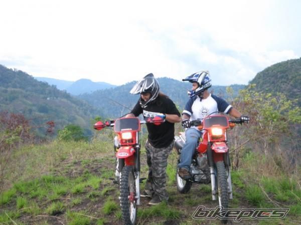 2007 HONDA XR 200 | Picture 1011012 motorcycle photo