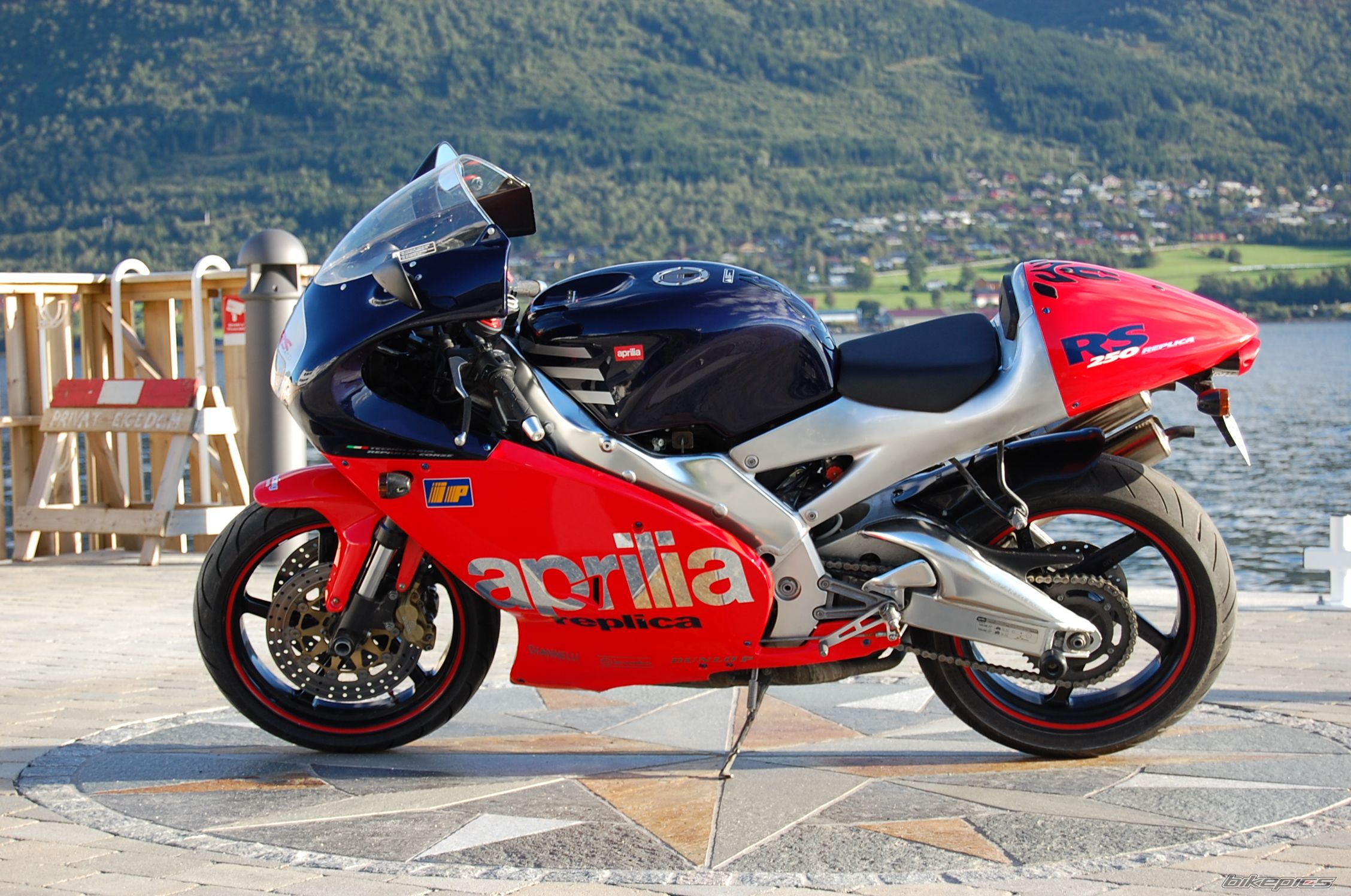 1999 APRILIA RS 250 | Picture 1011013 motorcycle photo
