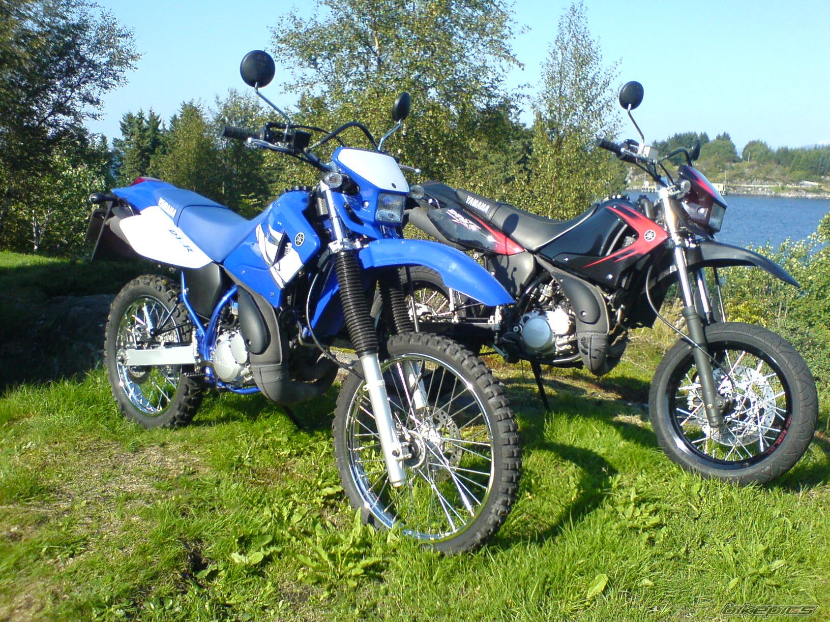 2007 YAMAHA DT 125 | Picture 1011028 motorcycle photo