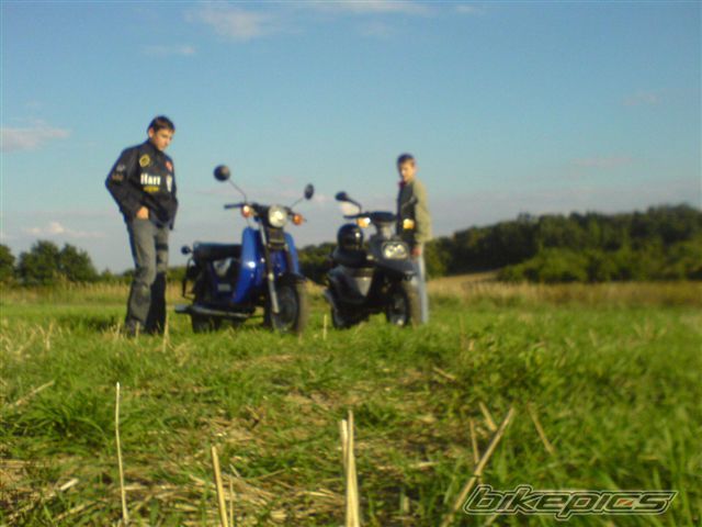 1991 SIMSON SR 50 | Picture 1011039 motorcycle photo