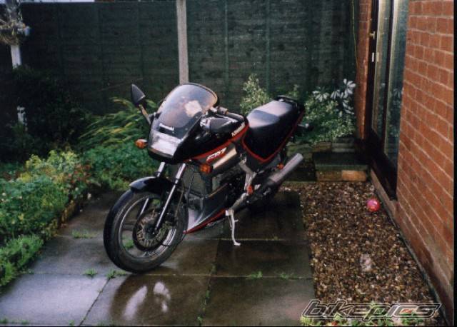 1993 KAWASAKI GPZ 500 | Picture 101121 motorcycle photo