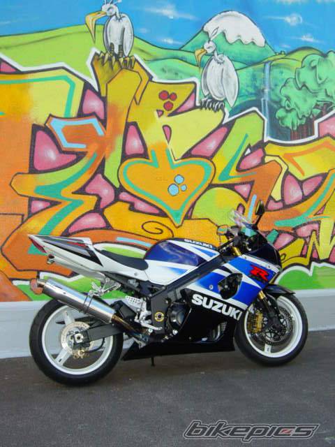 2003 SUZUKI GSX R 1000 | Picture 101135 motorcycle photo