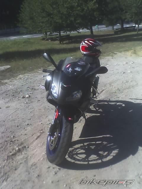 2007 APRILIA RS 125 | Picture 1011455 motorcycle photo