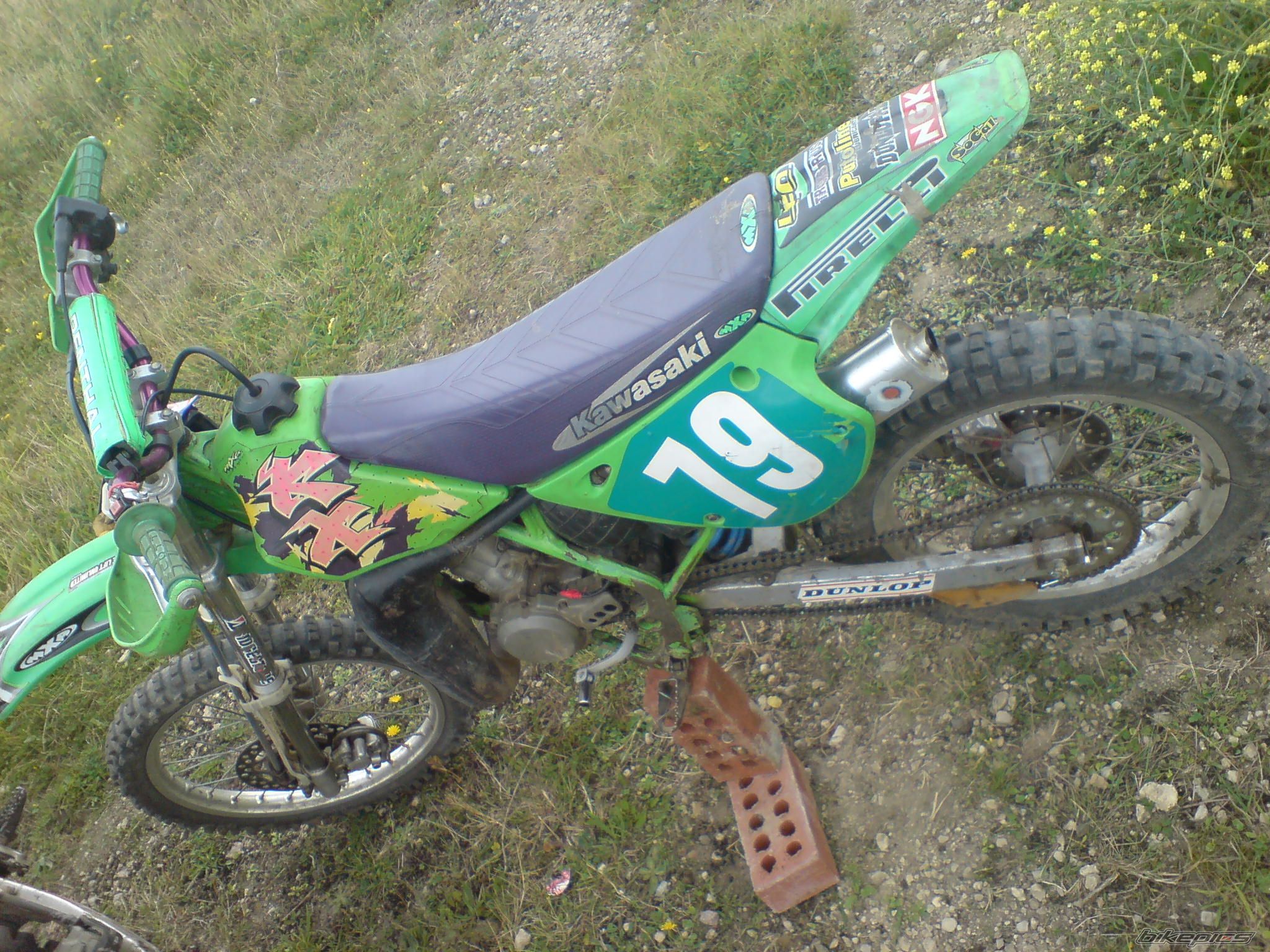 1995 KAWASAKI KX 100 | Picture 1011510 motorcycle photo