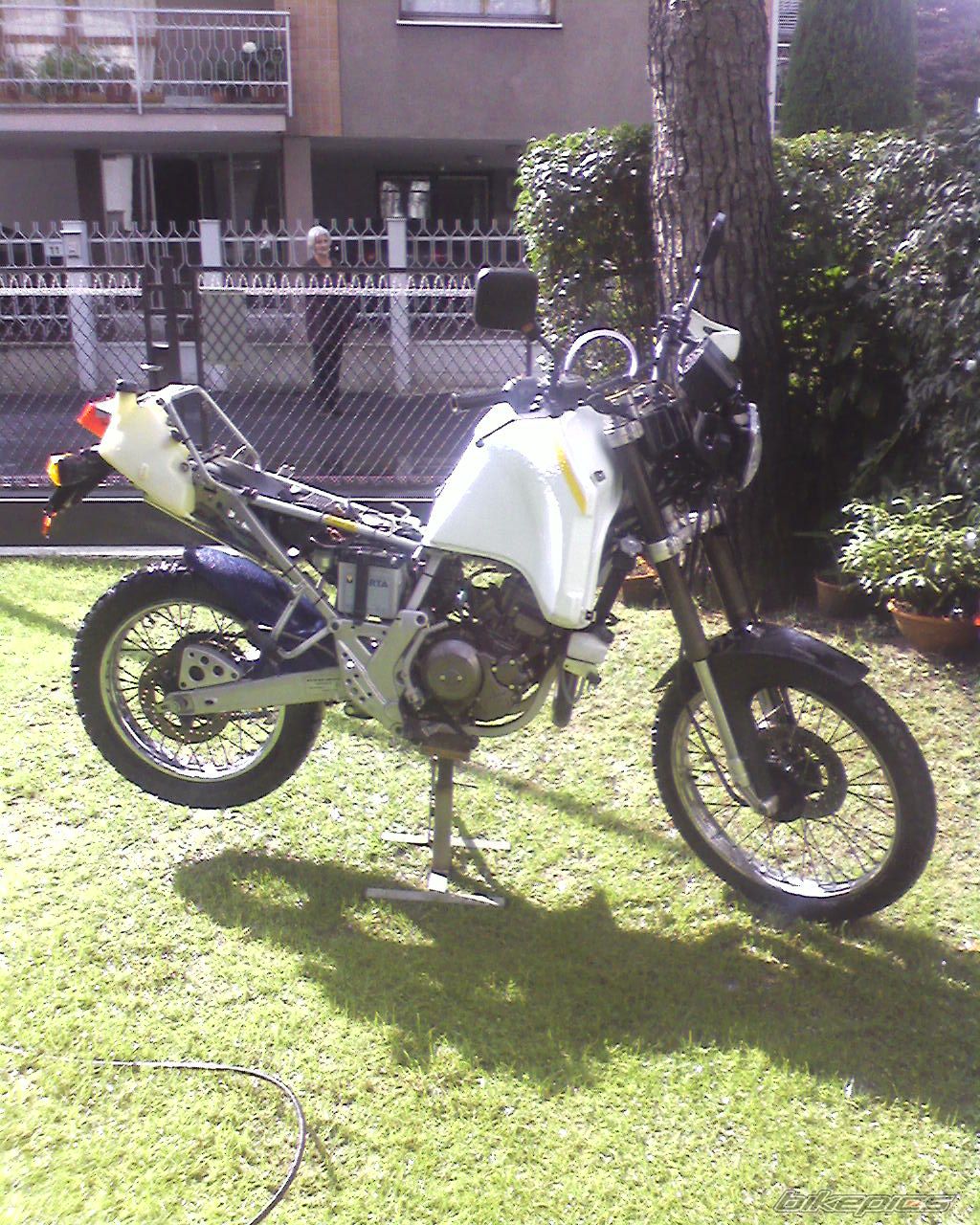 1988 GILERA XR1 125 | Picture 1011705 motorcycle photo