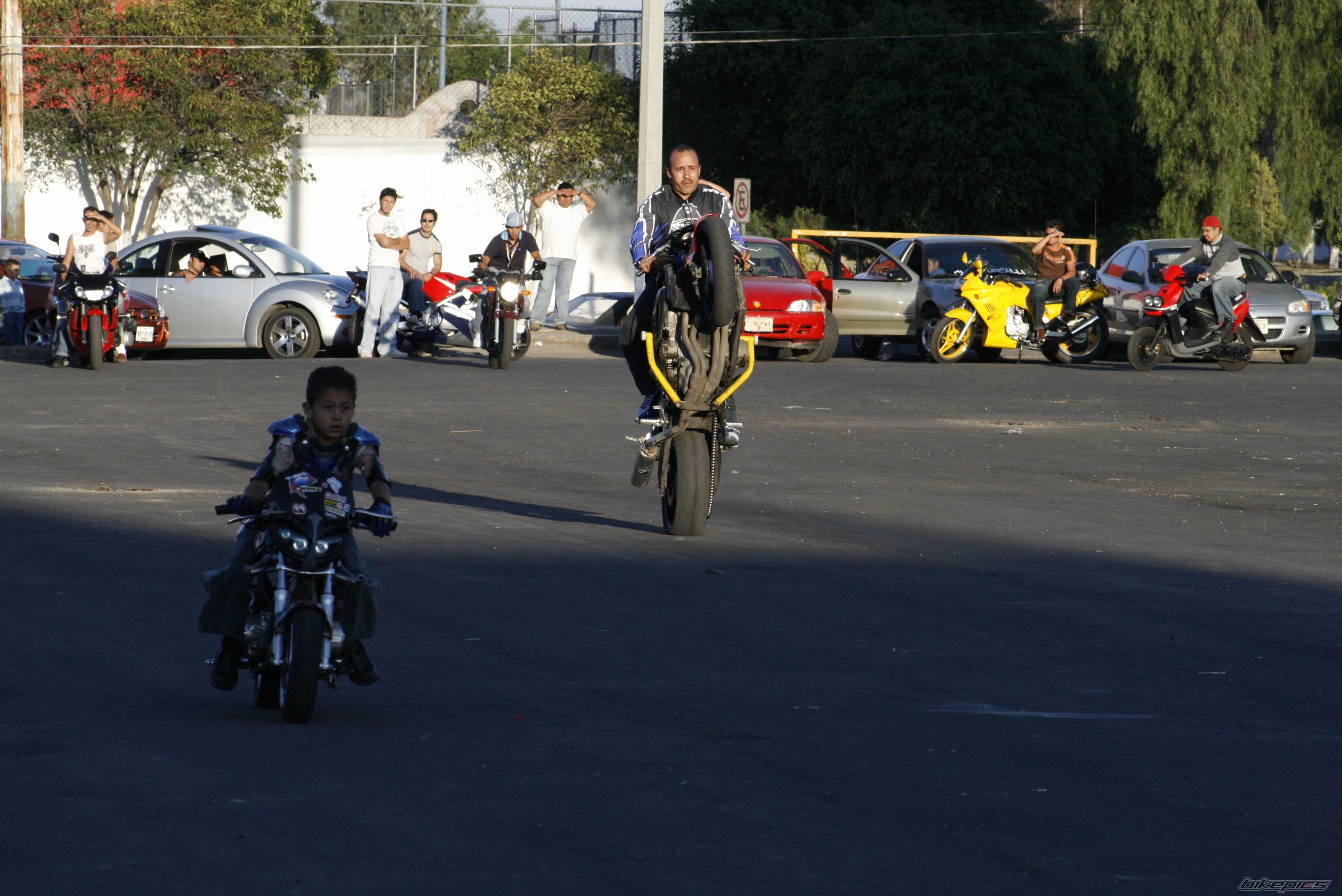 2001 HONDA CBR 600 | Picture 1012099 motorcycle photo