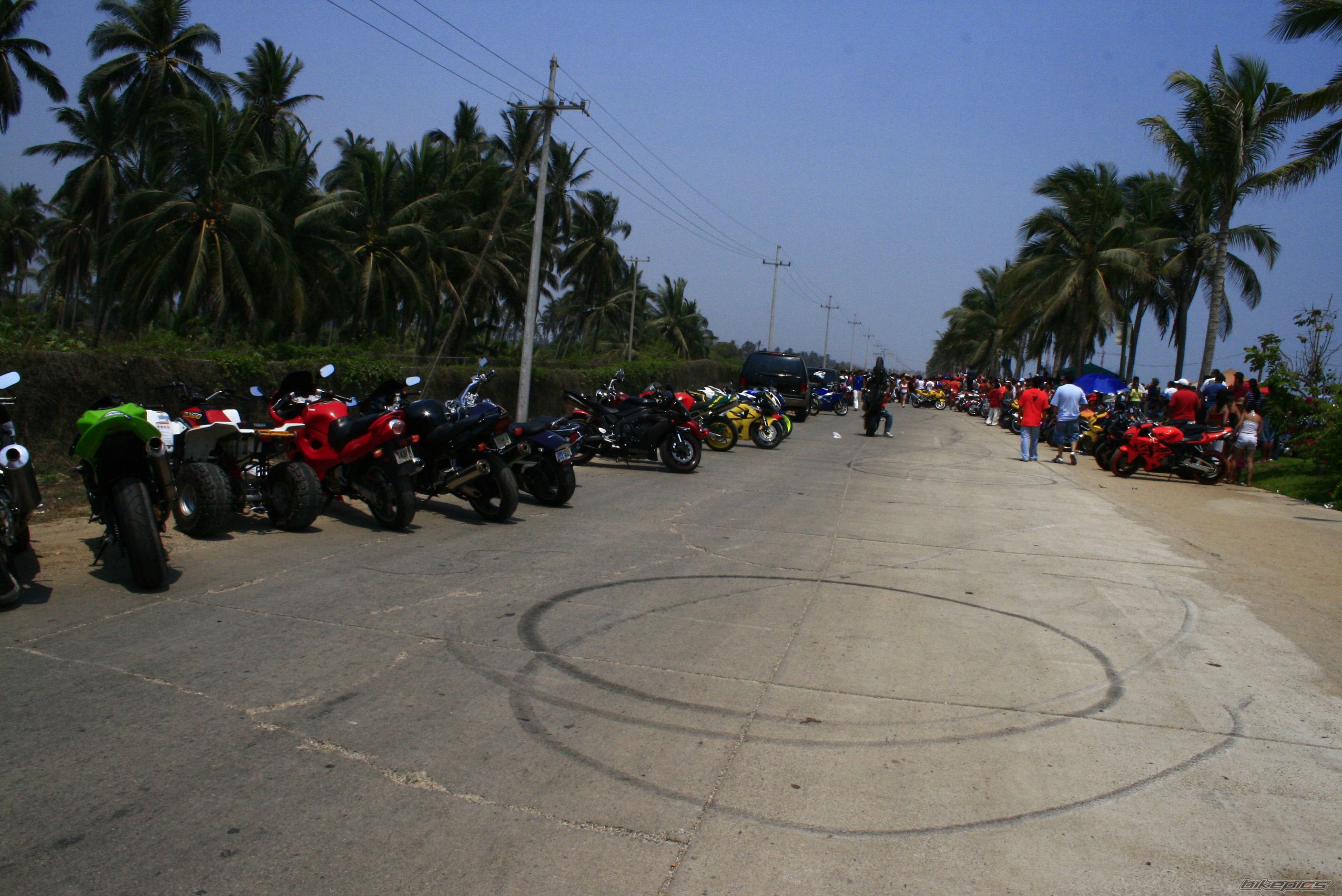 2001 HONDA CBR 600 | Picture 1012148 motorcycle photo