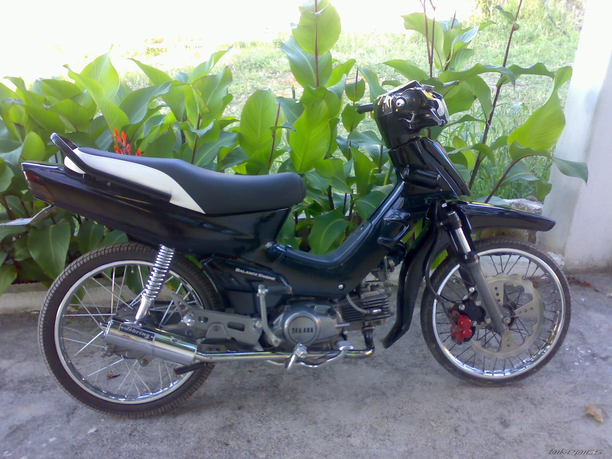 2007 YAMAHA CRYPTON R 115 | Picture 1012278 motorcycle photo