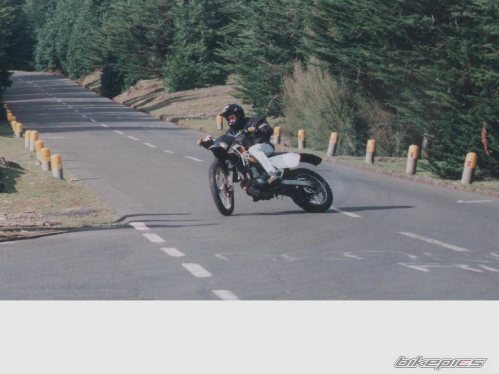 2002 SUZUKI DRZ 400 | Picture 101263 motorcycle photo
