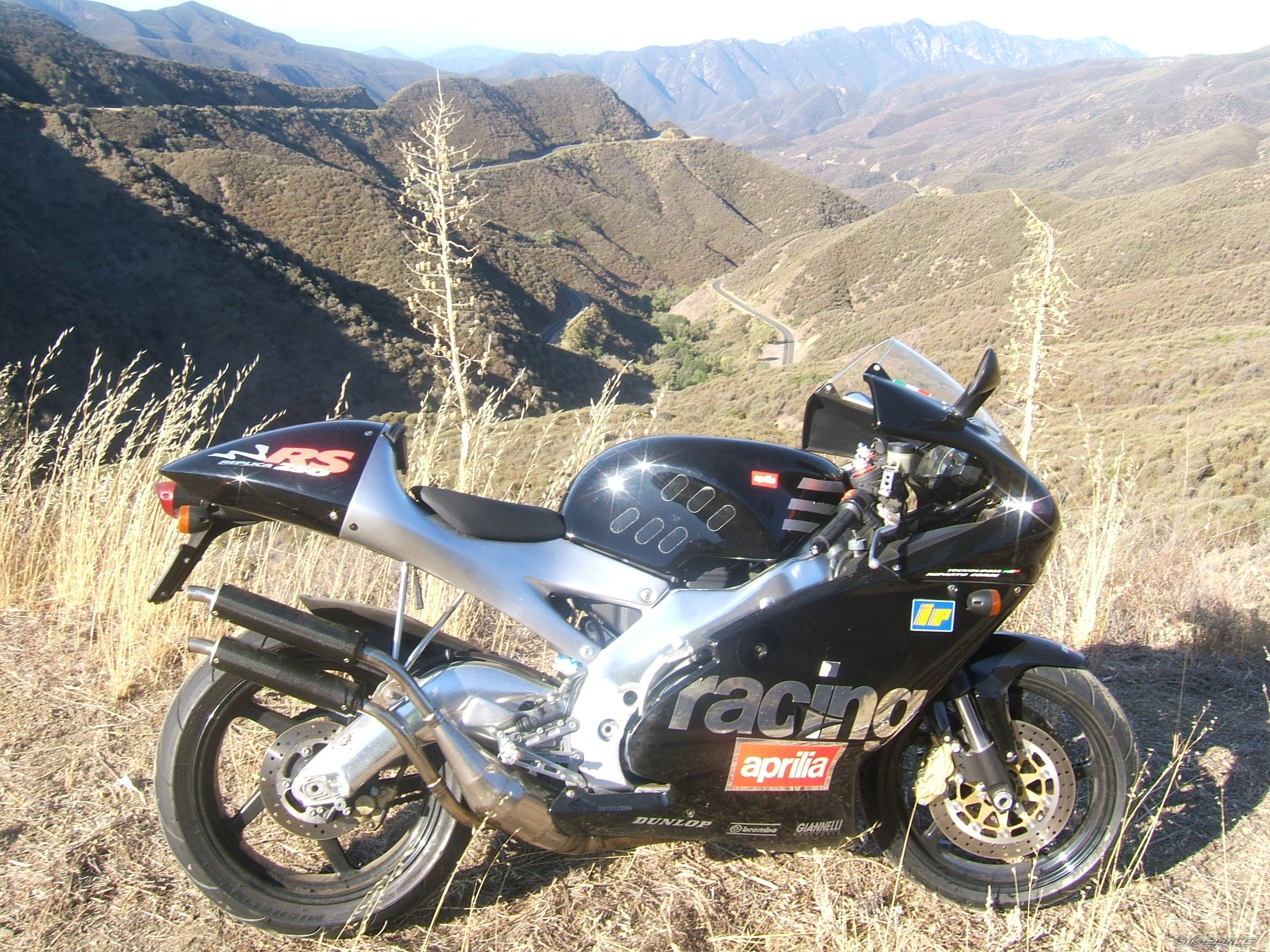 1998 APRILIA RS 250 | Picture 1012708 motorcycle photo