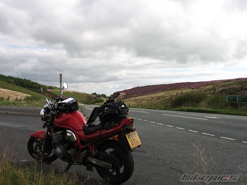 1998 SUZUKI BANDIT 600 | Picture 1013444 motorcycle photo