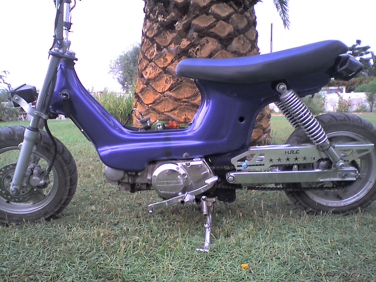2007 HONDA CHALY | Picture 1013765 motorcycle photo