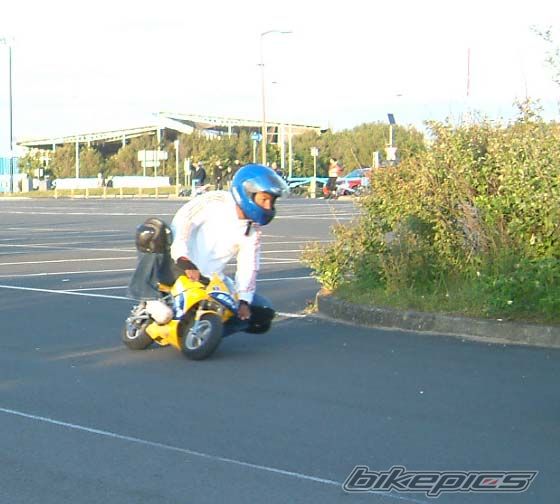 2006 BLATA ELITE 13 | Picture 1013770 motorcycle photo