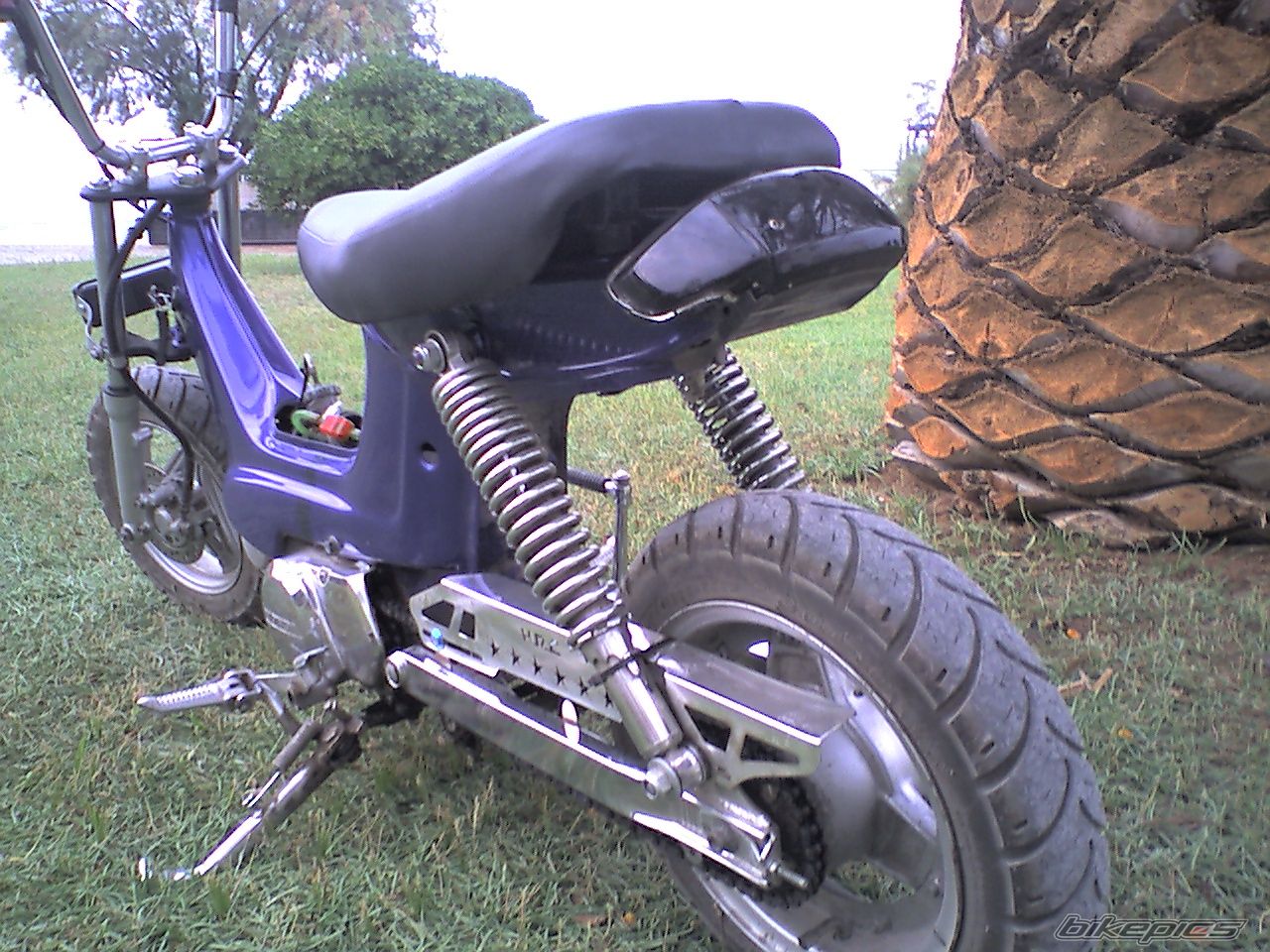 2007 HONDA CHALY | Picture 1013786 motorcycle photo