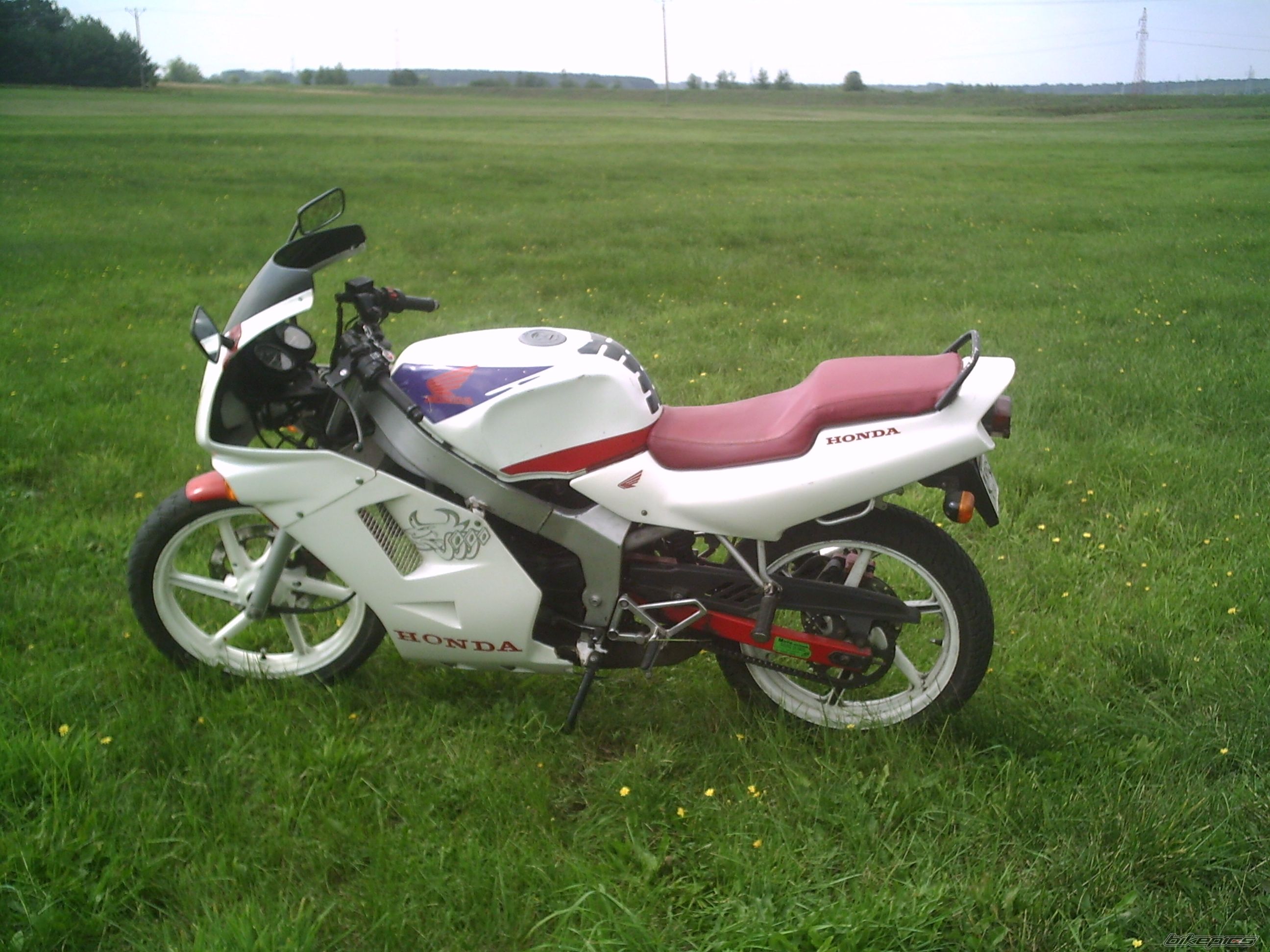 1994 HONDA NS1 80 | Picture 1013834 motorcycle photo
