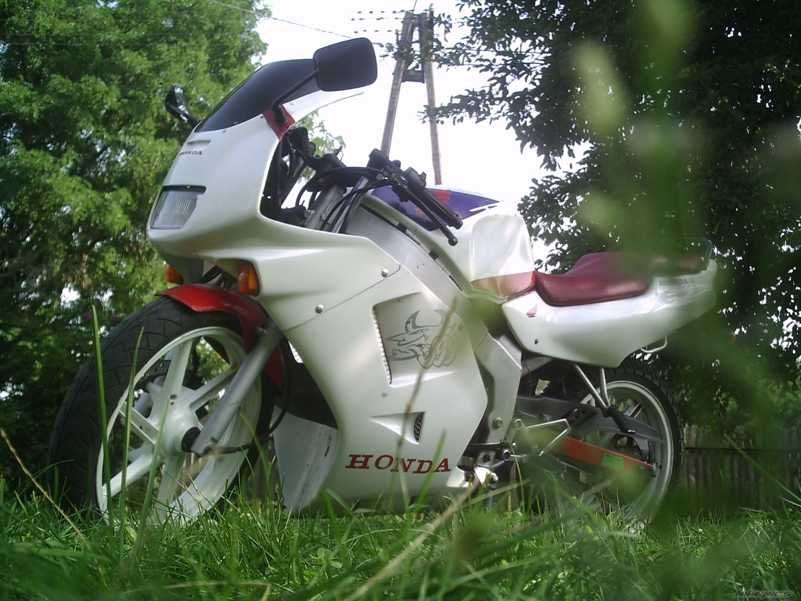 1994 HONDA NS1 80 | Picture 1013835 motorcycle photo