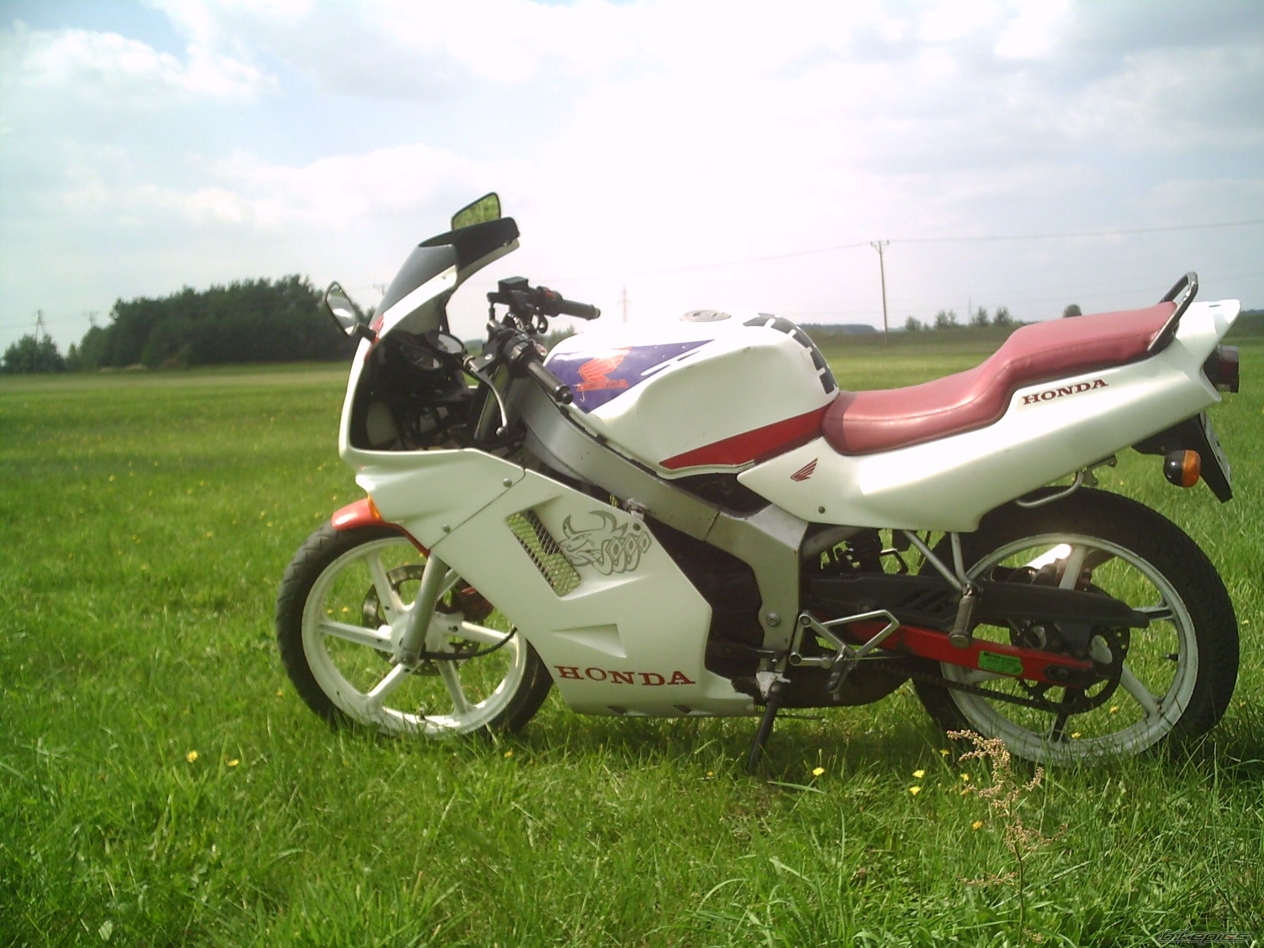 1994 HONDA NS1 80 | Picture 1014266 motorcycle photo