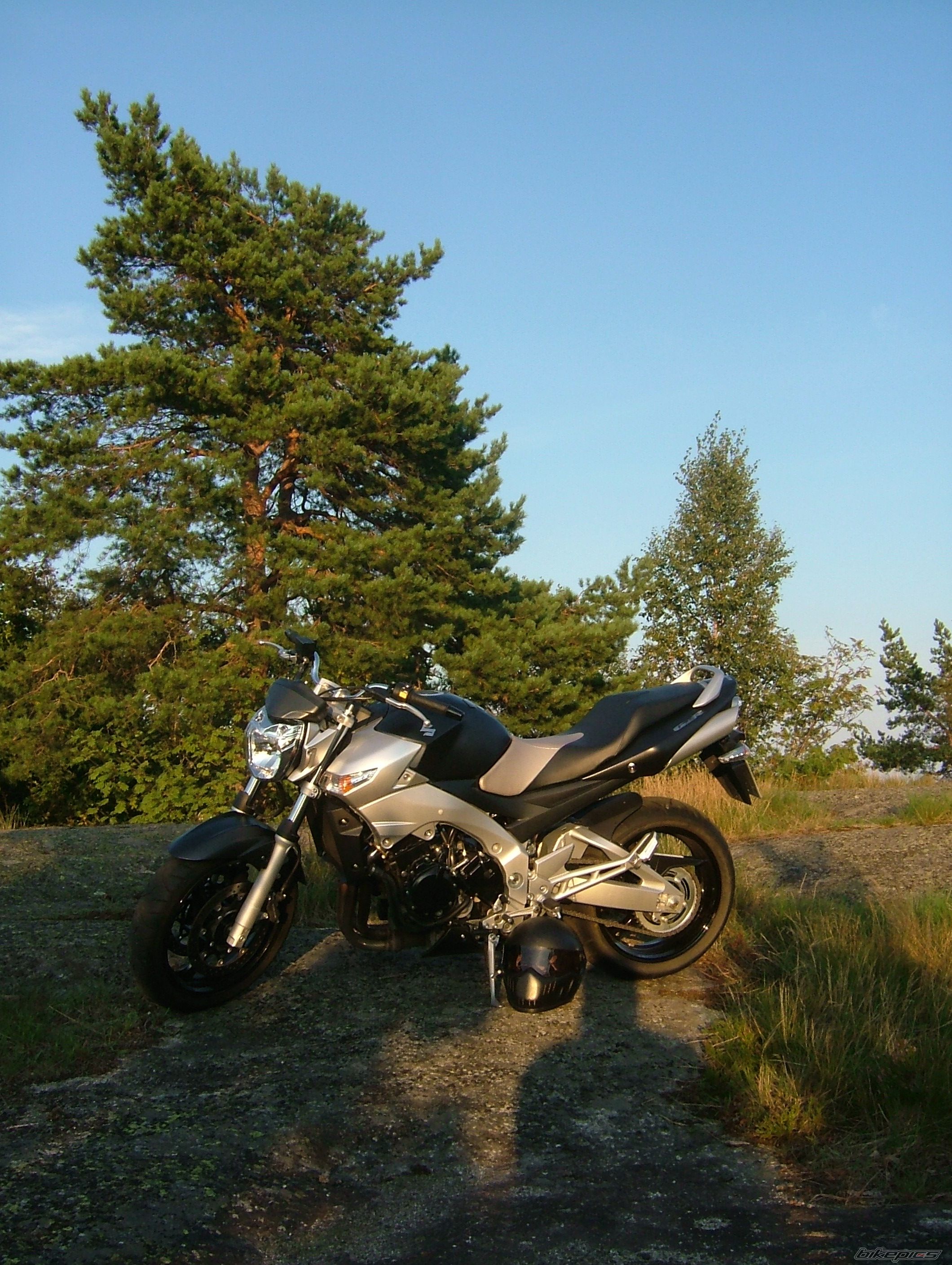 2006 SUZUKI GSR 600 | Picture 1014323 motorcycle photo