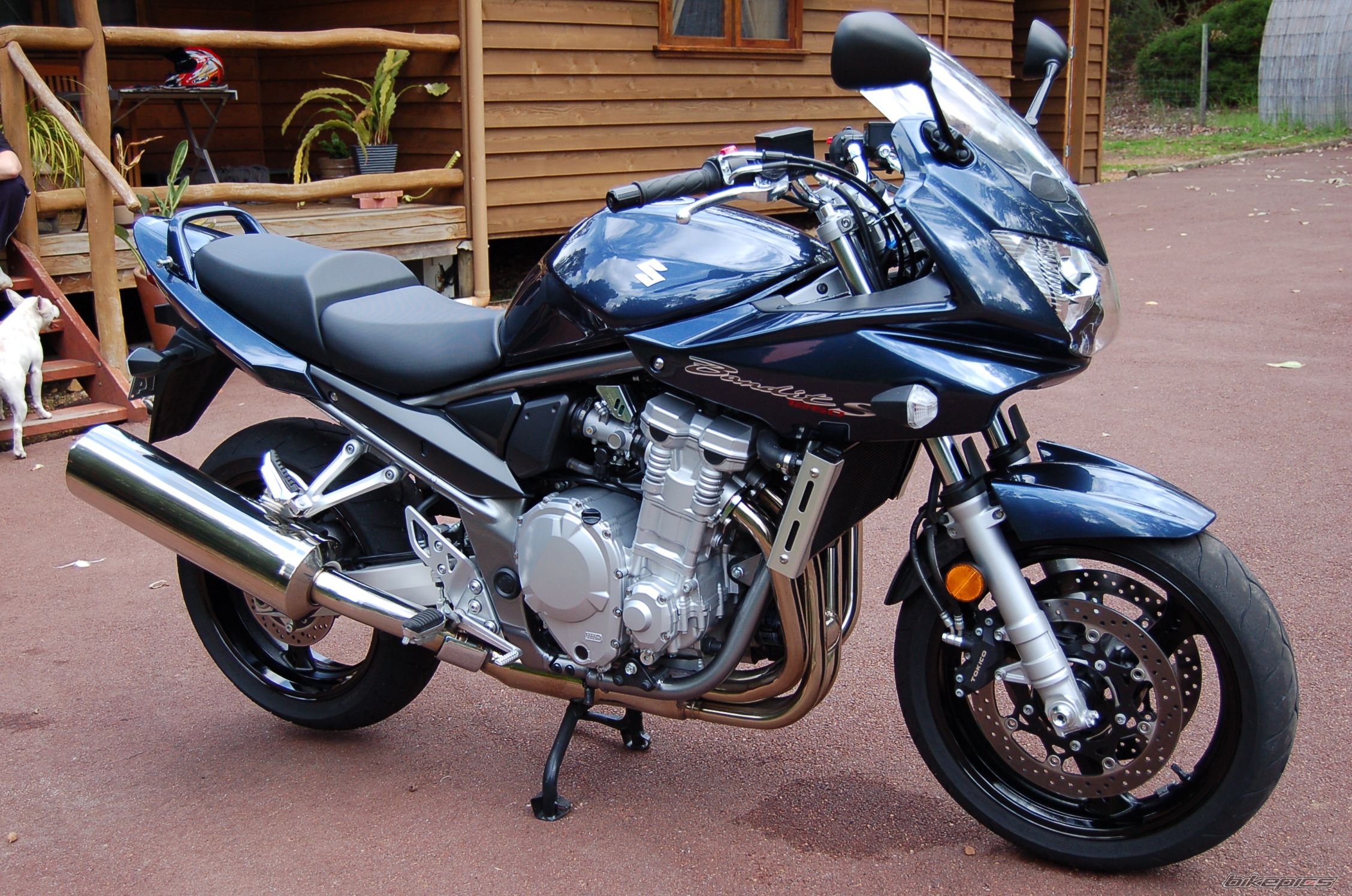 2007 SUZUKI BANDIT 1200S | Picture 1014576 motorcycle photo
