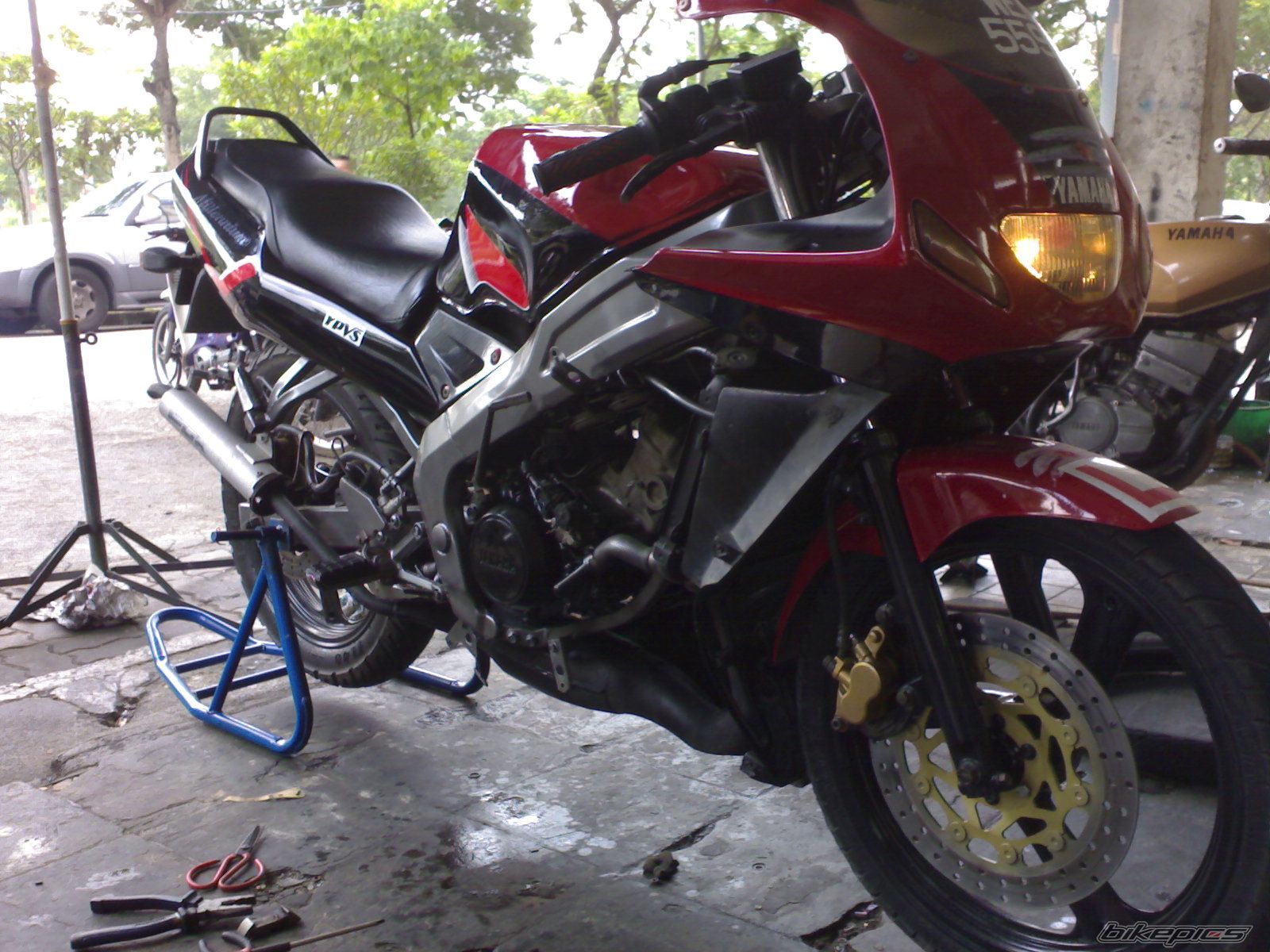 2008 YAMAHA TZM 150 | Picture 1015036 motorcycle photo