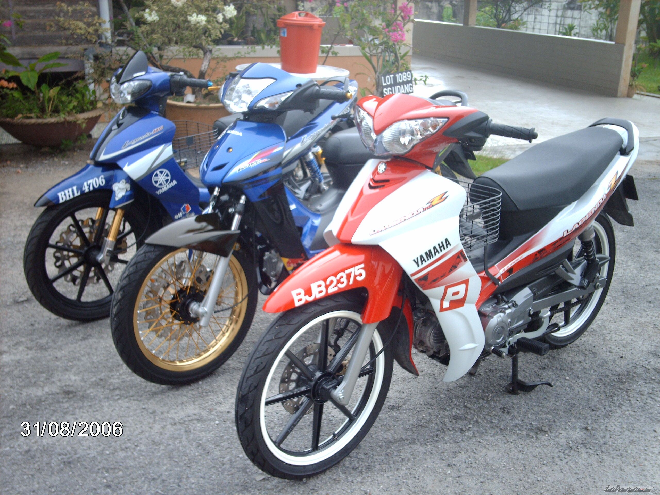 1999 YAMAHA LAGENDA 110 | Picture 1015627 motorcycle photo