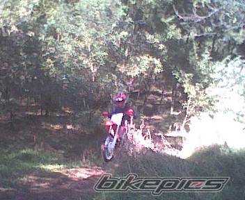 2001 HONDA CR 250 | Picture 10162 motorcycle photo