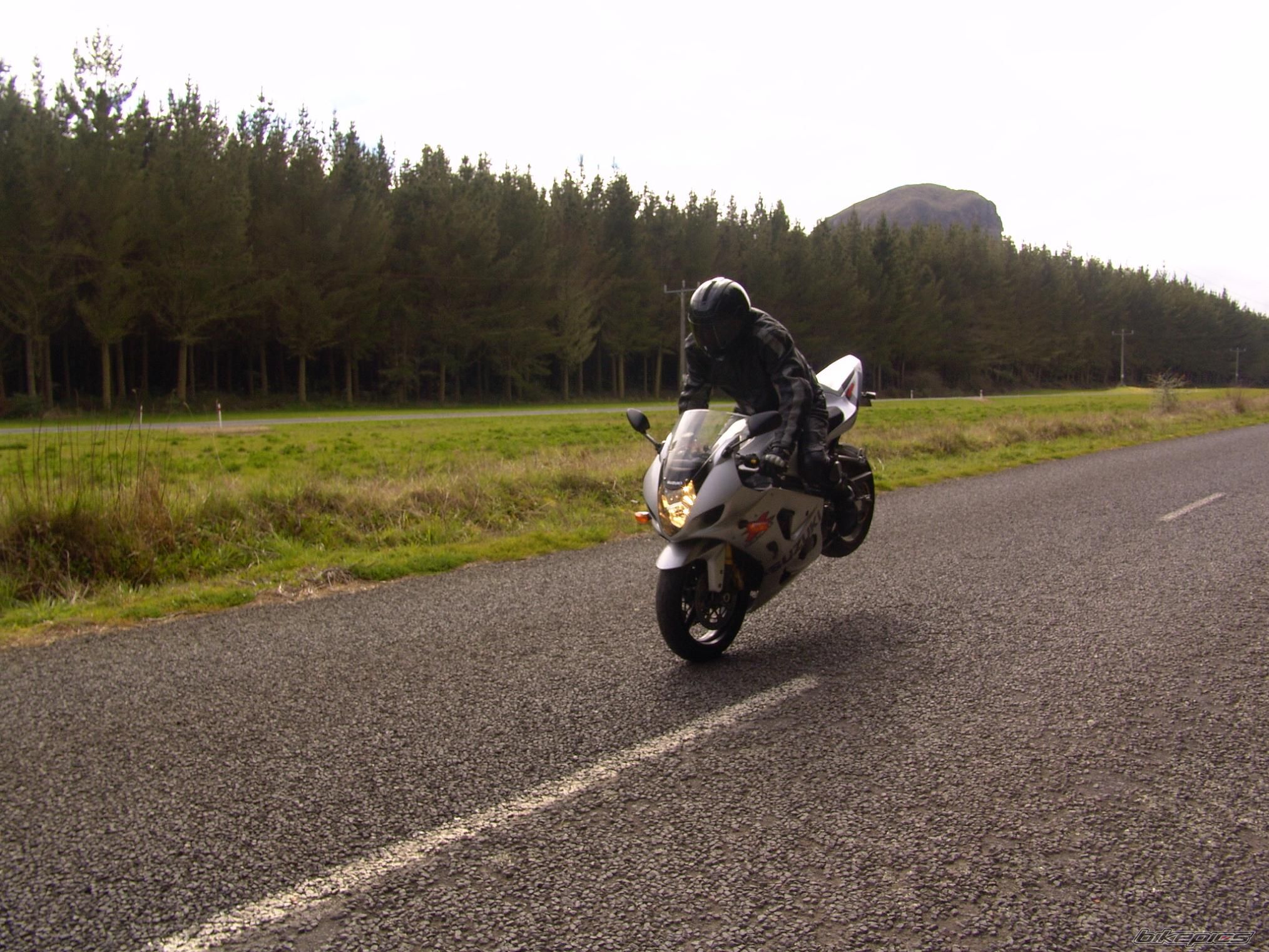2003 SUZUKI GSX R 1000 | Picture 1016290 motorcycle photo