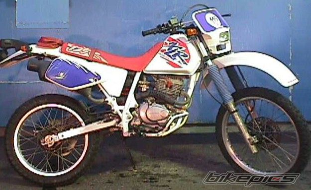 2000 HONDA XLR125 | Picture 1016567 motorcycle photo