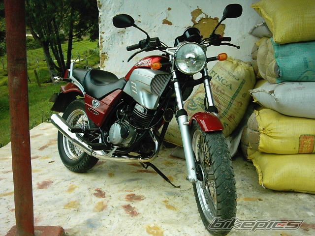 1995 CAGIVA ROADSTER 125 | Picture 1017013 motorcycle photo