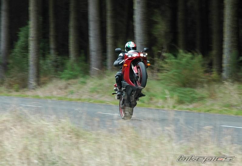 2003 YAMAHA YZF R1 | Picture 1017416 motorcycle photo