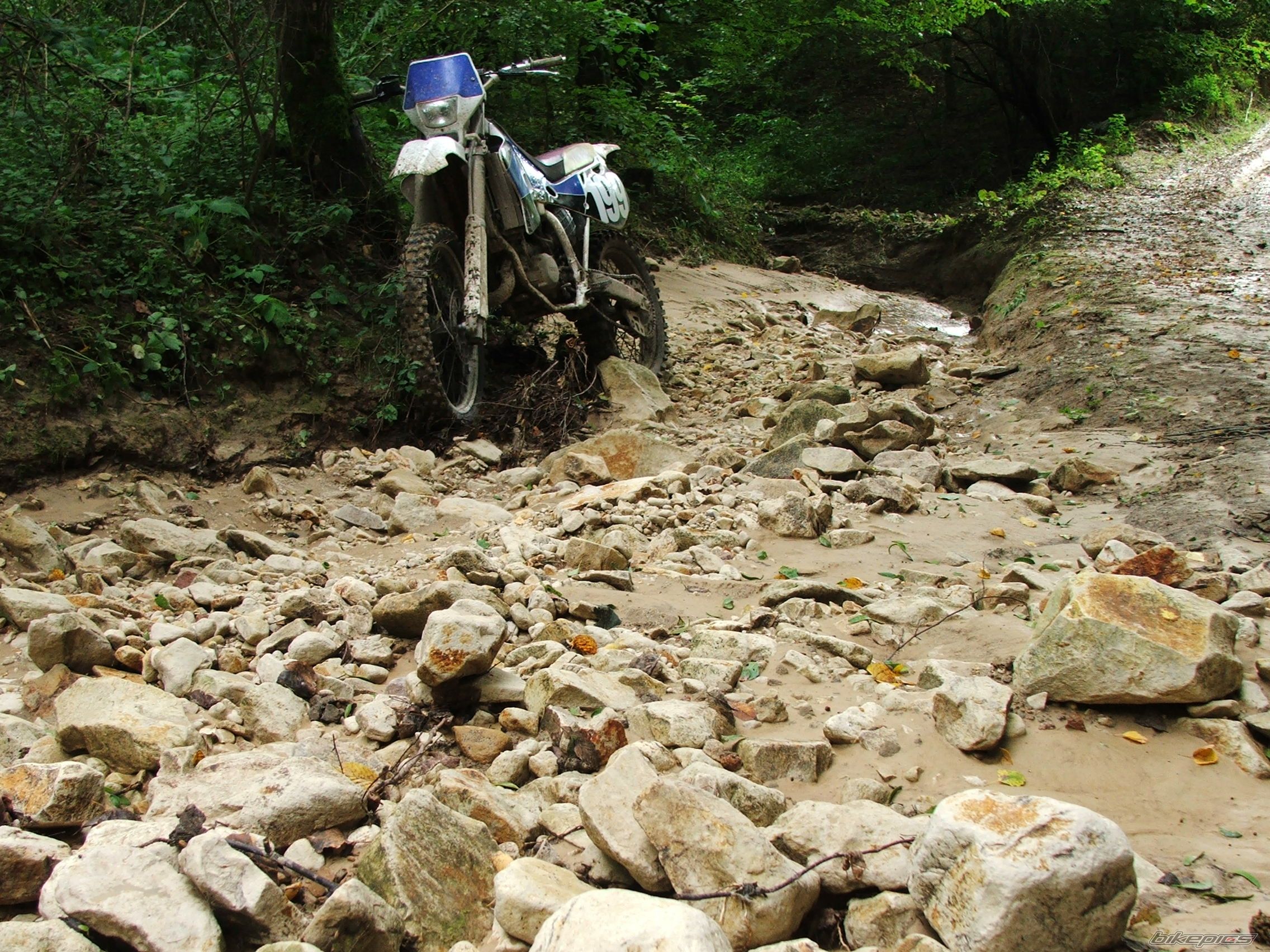 1994 YAMAHA YZ 125 | Picture 1017573 motorcycle photo