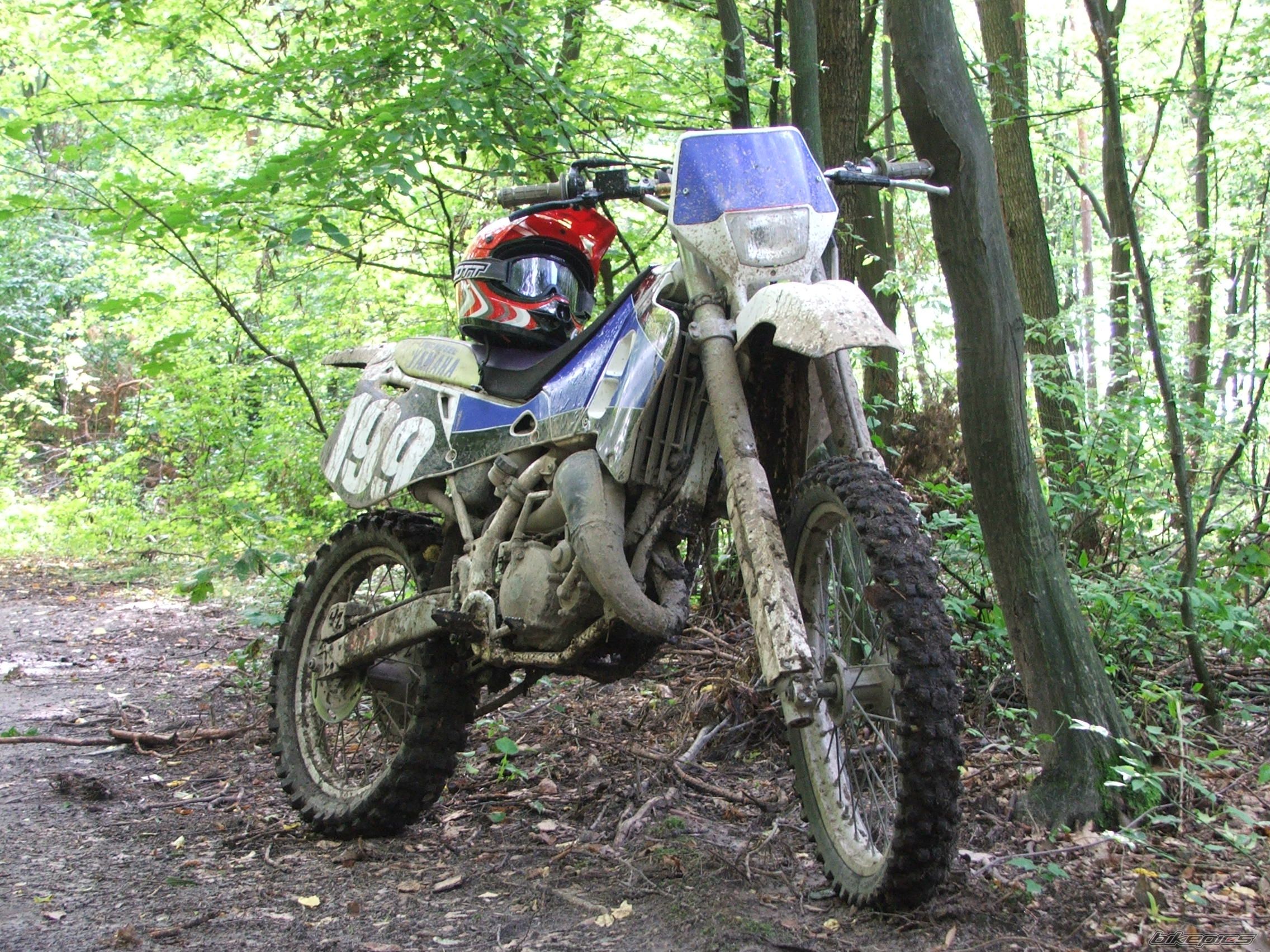 1994 YAMAHA YZ 125 | Picture 1017575 motorcycle photo