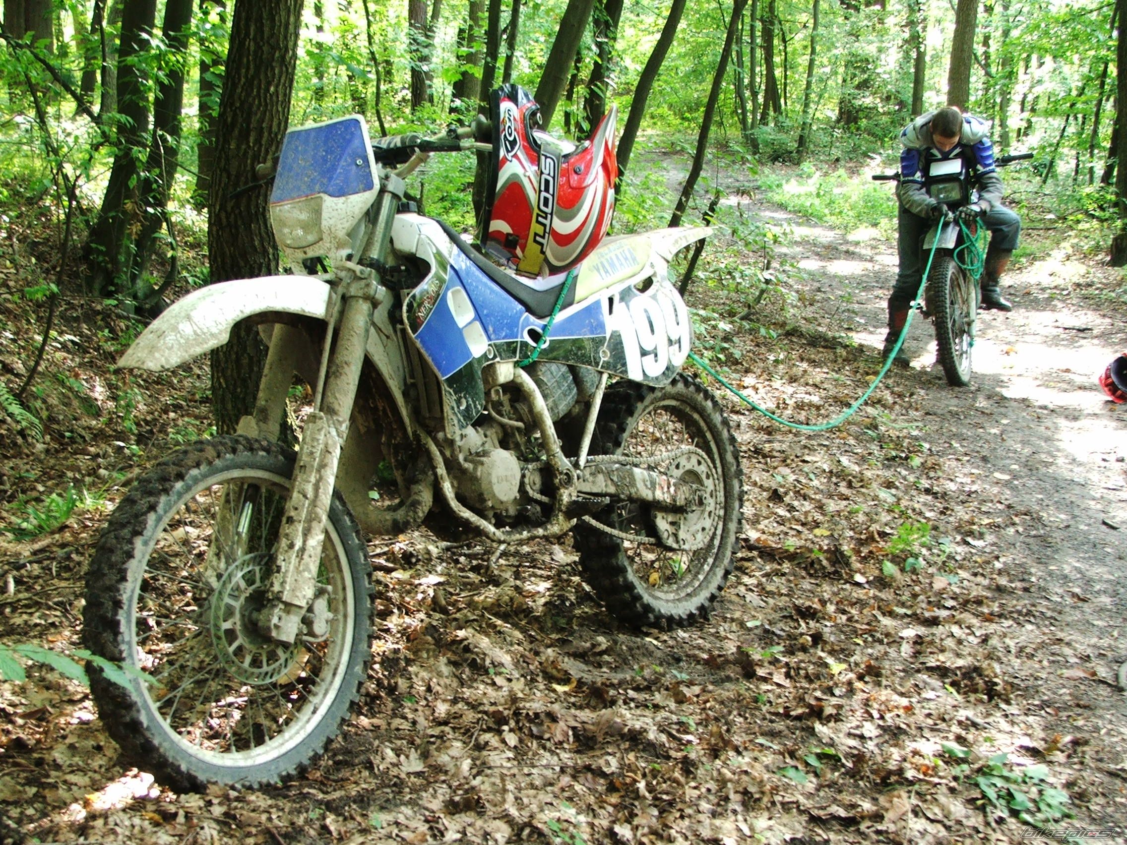 1994 YAMAHA YZ 125 | Picture 1017576 motorcycle photo