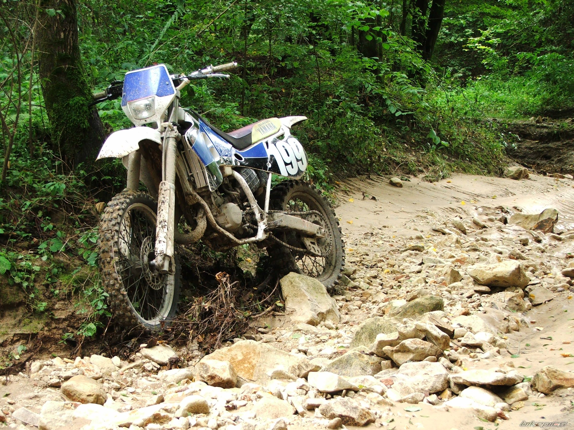 1994 YAMAHA YZ 125 | Picture 1017580 motorcycle photo