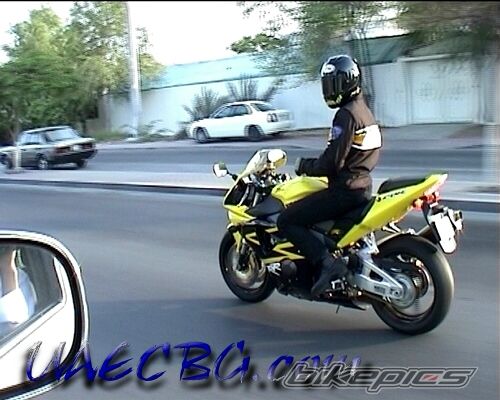 2002 HONDA CBR 900 | Picture 1017633 motorcycle photo