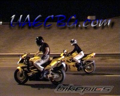 2002 HONDA CBR 900 | Picture 1017643 motorcycle photo