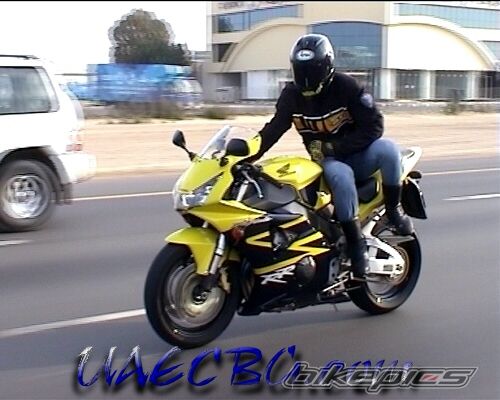 2002 HONDA CBR 900 | Picture 1017769 motorcycle photo